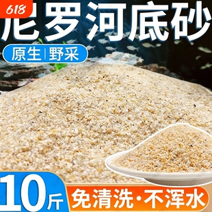 鱼缸造景底部砂石尼罗河细沙化妆沙南美水草缸鼠鱼专用免洗河沙子