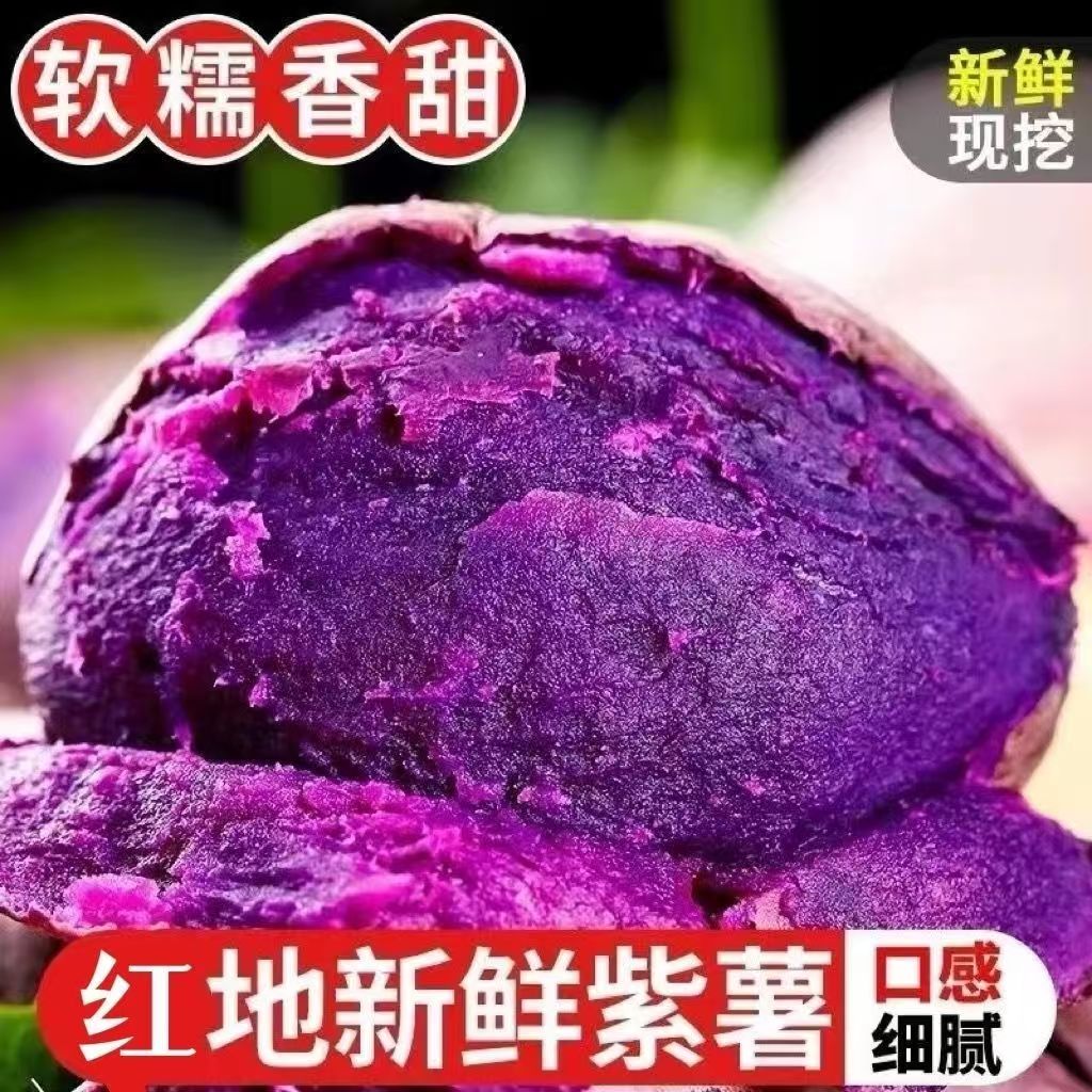 新鲜采摘新鲜沙地紫薯3/5/9斤红薯番薯蜜薯板栗薯地瓜甜糯香甜