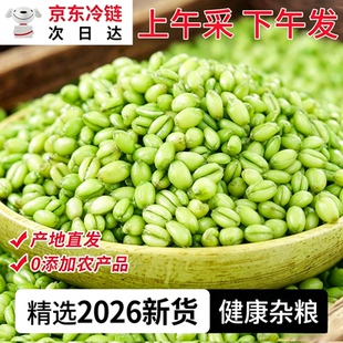 2026青麦仁新鲜青麦粒米嫩麦穗去皮煮粥小麦子生胚米五谷杂粮青麦