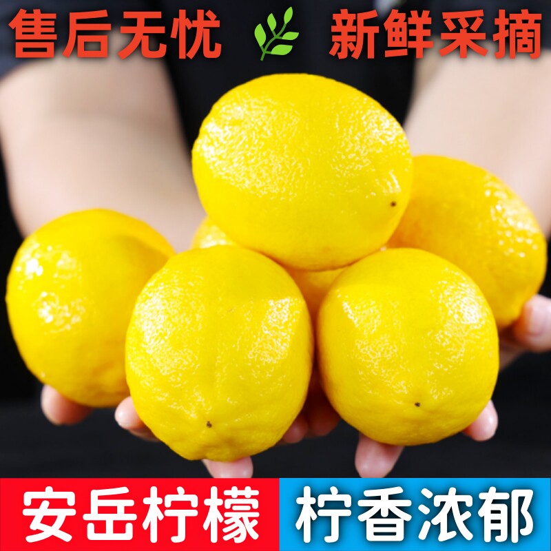 ��������������ˮ��Ƥ���������侫ѡ��ˮ��������С����Ĵ��ز� 1�� 60-80g 7.6Ԫ