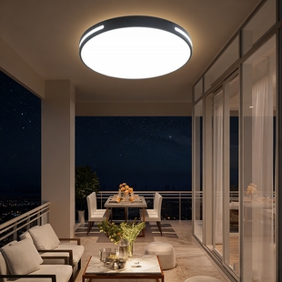 别墅大门口吸顶灯农村自建房入户门厅室外房檐阳台走廊防潮防虫灯