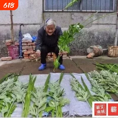 端午菖蒲艾蒿 艾叶菖蒲 门前挂新鲜艾草【艾草菖蒲】端午节挂饰