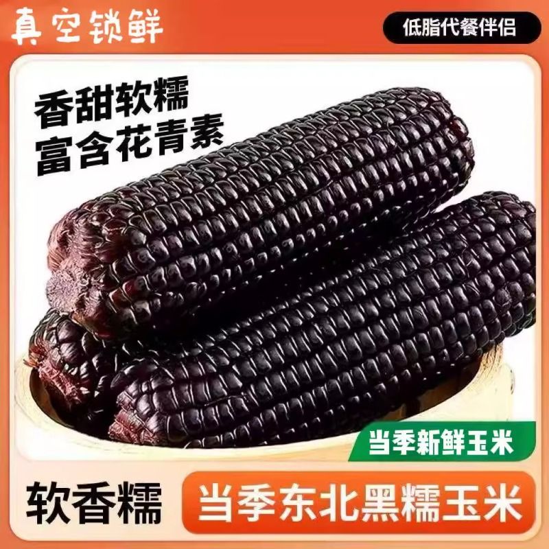 正宗东北黑玉米真空装香甜粘糯新鲜加热即食香甜大棒黑糯玉米