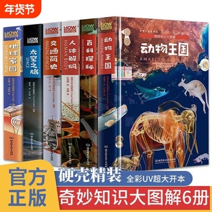 奇妙知识大图解 人体解码动物王国交通简史百科全书儿童科学类科普书籍DK少儿读物小学生一二三四五六年级课外书 奇妙知识大图解-