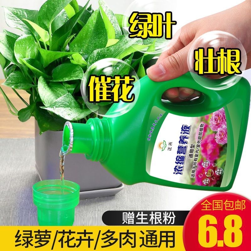 营养液植物通用型花肥家用盆栽发财树富贵竹绿萝水培花卉绿植肥料-封面