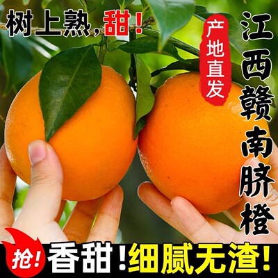 正宗赣南脐橙新鲜橙子当季水果手剥果冻橙子冰糖甜橙大果整箱包邮
