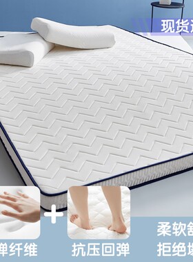 四季款床垫家用软垫褥铺地