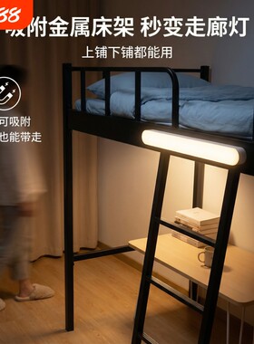 书桌护眼台灯学生宿舍学习灯寝室床头阅读灯充电长续航折叠小灯