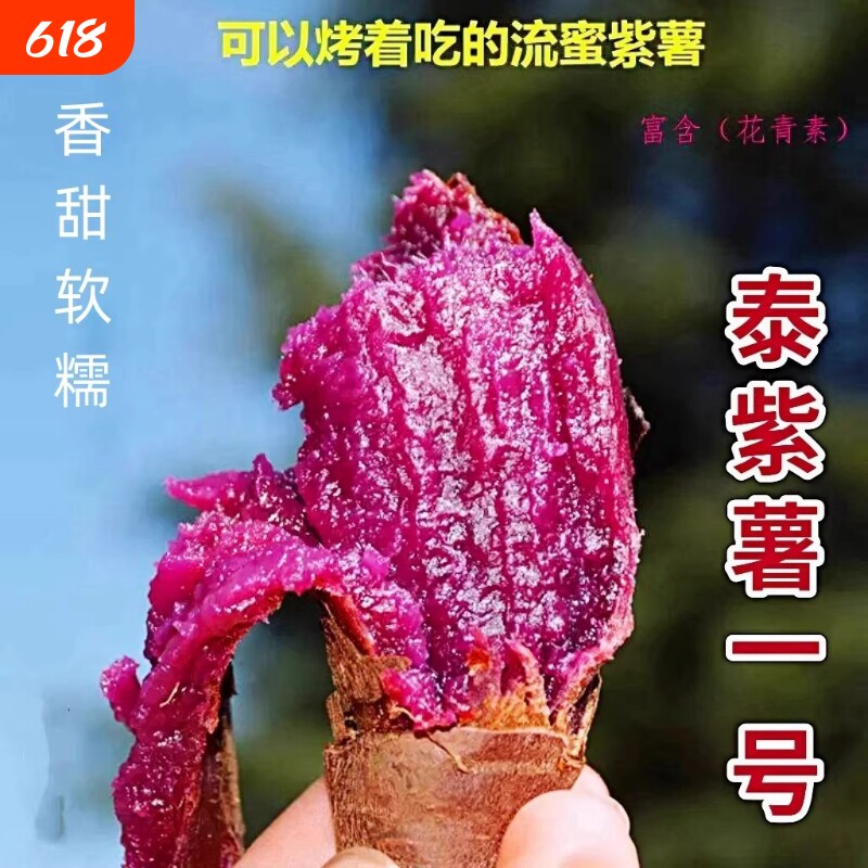 正宗泰紫薯一号紫薯紫帝姬黑美人蜜薯现挖紫水晶新鲜红薯番薯地瓜