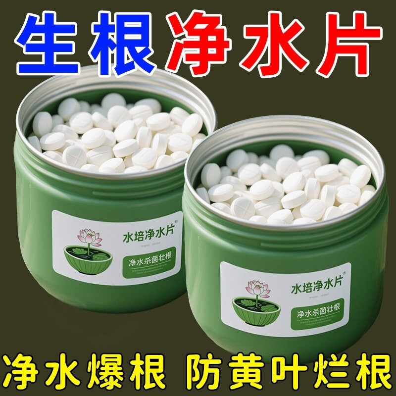 水培植物净水片鲜花花卉保鲜剂不臭水碗莲专用杀菌消毒片净化水质