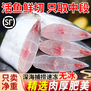 顺丰包邮新鲜带鱼段中段带鱼肉冷冻去头去尾小眼带鱼海捕水产海鲜