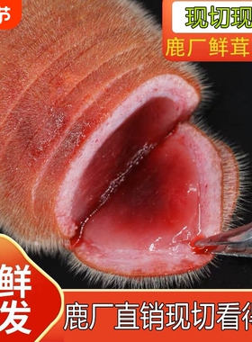 鲜鹿茸正品吉林长白色特产梅花鹿鹿茸新鲜带血切片煲汤泡茶泡水