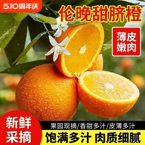 正宗湖北秭归伦晚脐橙橙子旗官方旗舰店新鲜水果甜现摘春橙大果