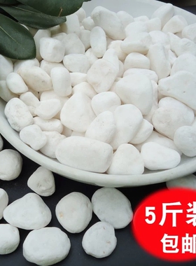 白石子白色小石头雨花石鹅卵石石头花盆栽天然小石头多肉铺面装饰