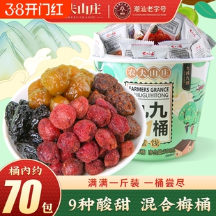 农夫山庄混合梅桶装500g话梅子9蜜饯果干组合零食大礼包一桶罐装