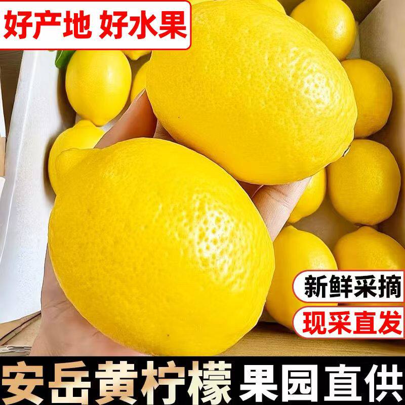 四川安岳黄柠檬鲜果薄皮多汁奶茶店泡鸡爪泡水整箱包邮非无籽鲜果