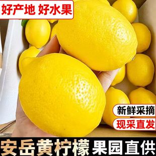 四川安岳黄柠檬鲜果薄皮多汁奶茶店泡鸡爪泡水整箱包邮非无籽鲜果