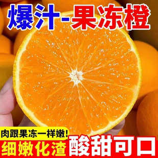 四川正宗青见果冻橙晚熟橙柑橘桔子新鲜应当季水果整箱包邮