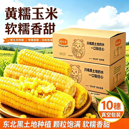 东北头茬当季新鲜黄糯玉米软糯拉丝真空装非转基因10支装多仓发货