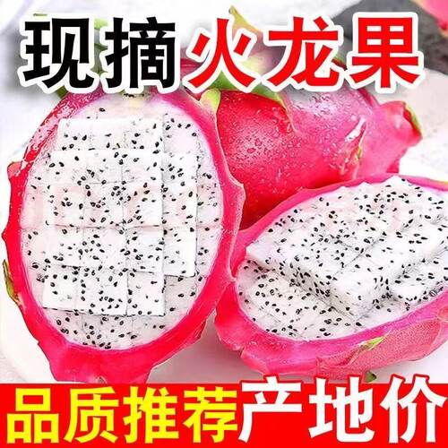 【4.5斤顺丰包邮】越南白心火龙果新鲜现摘水果应当季