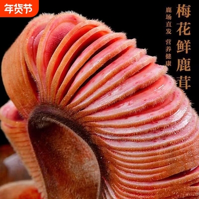 鹿茸片正品新鲜头茬|212人收藏