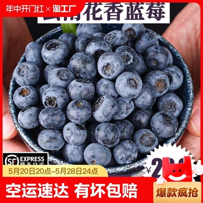 云南花香蓝莓【热卖TOP商家】