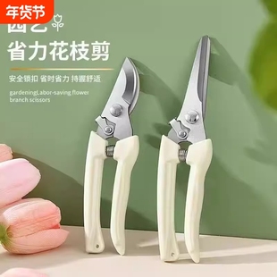 园艺园林果树剪刀修剪树枝神器家用绿化枝修剪刀专用工具采摘摘果