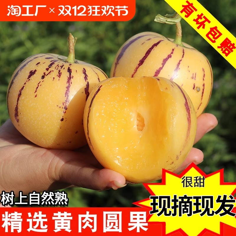 �ۻ��㣺1�� Բ�� 1���ѡ��������֭|�ֳ���ժ �����˲ι�ˮ��9������������ʯ��������������������Բ������