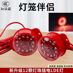 厂家直销中式灯笼伴侣2026新年阳台户外带线插头发光彩光红色高亮