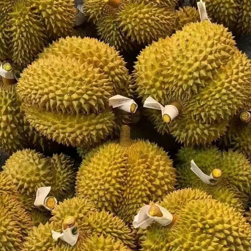 泰国金枕榴莲顺丰包邮新鲜水果整个当季进口一级整箱10斤鲜果