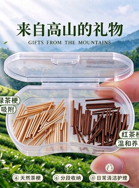 茶叶梗耳棒养耳洞耳钉女隐形耳饰