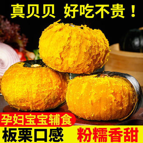 正宗真贝贝小南瓜农家板栗