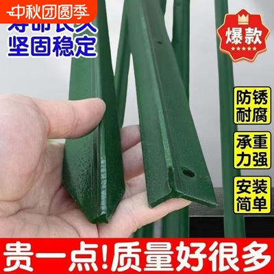 殖防盗立柱加厚10根铁丝网