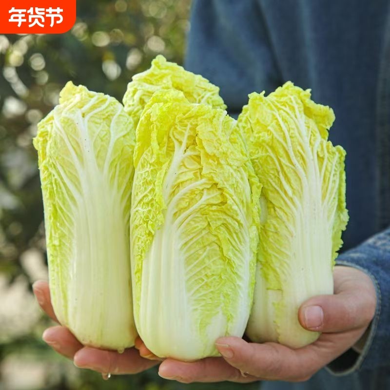 精品娃娃菜新鲜黄心小娃娃现挖火锅蔬菜云南高原露天农家自种蔬菜,水产肉类/新鲜蔬果/熟食,叶菜类,淘宝优惠券,粉丝福利购,淘宝优惠卷