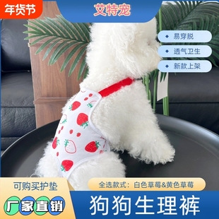宠物狗狗生理裤泰迪安全卫生裤月经裤生理期用品姨妈裤子