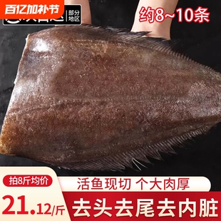 鲽鱼新鲜冷冻碟鱼身格陵兰特大比目鱼蝶鱼中段整条深海鸦片鱼水产