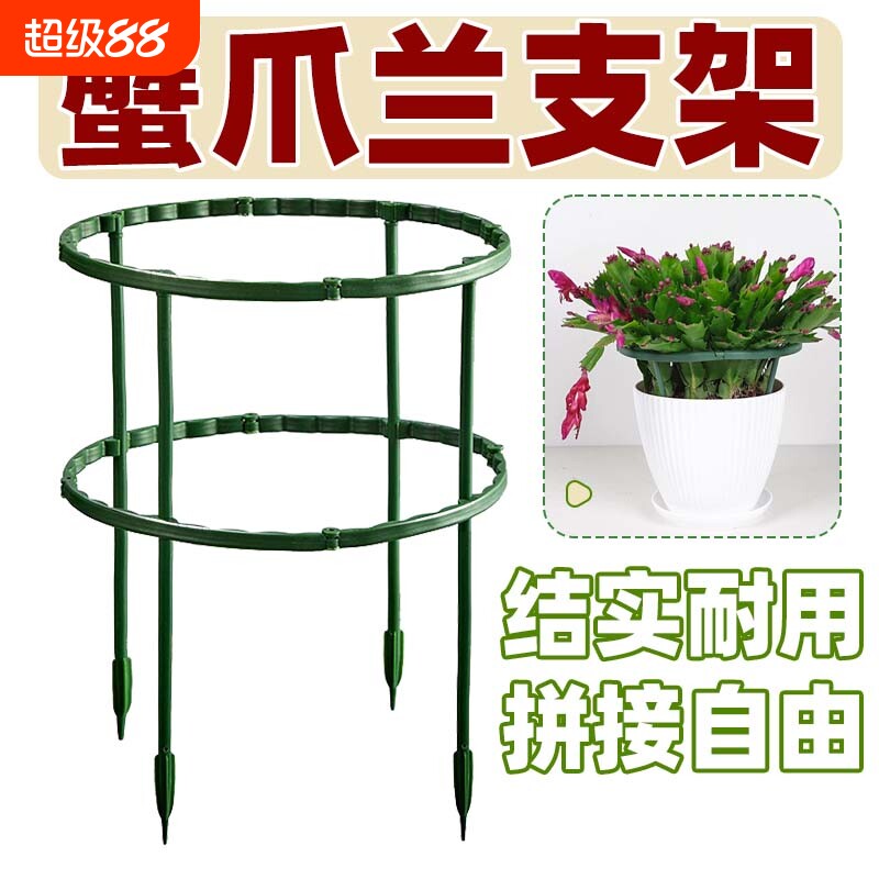 蟹爪兰加粗款叠加花防倒伏支撑杆图片
