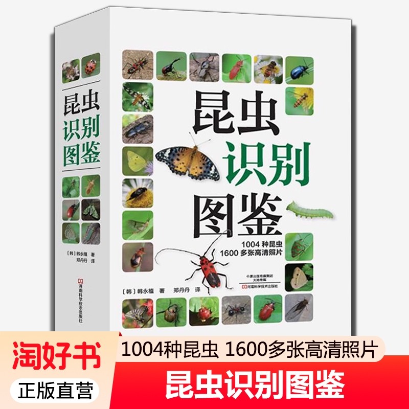 昆虫识别图鉴 1004种昆虫1600多张高清照片自然百科知识读物