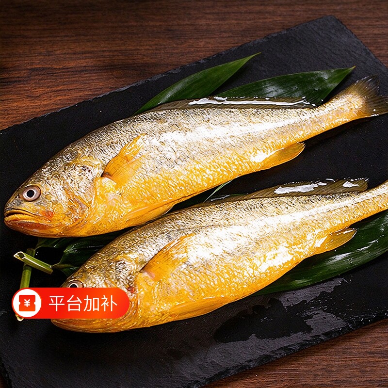 宁德野化黄花鱼新鲜速冻锁鲜大黄鱼金黄鱼身蒜瓣肉厚紧实海鲜水产