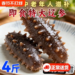 即食海参大连辽刺参鲜活加工非干货顺丰冷链发货肉质Q弹特大参
