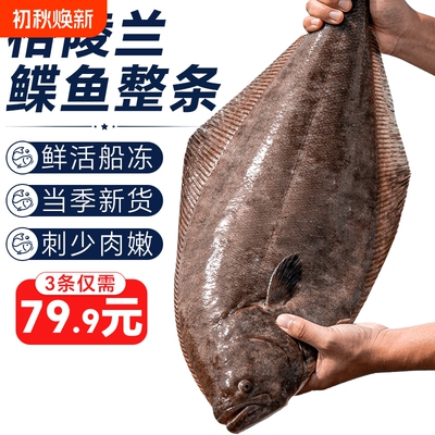 鸦片鱼深海鲽鱼整条蝶鱼身鱼头格陵兰比目鱼新鲜冷冻特大牙雅片鱼