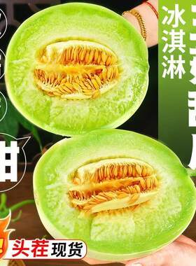 玉菇甜瓜当季新鲜水果香瓜包邮密瓜脆产地甜现货直发时令冰淇淋