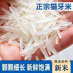 长粒丝苗香米丝苗米南方晚稻煲仔饭炒饭大米猫牙粒粒籼米上林米业