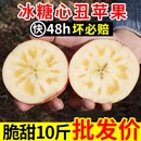 10整箱斤 包邮 现摘陕西红富士苹果水果新鲜当季 冰糖心丑苹果脆甜