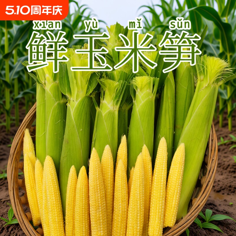 广西新鲜玉米笋现摘玉米笋鲜嫩蔬菜水果小玉米棒迷你玉米非转基因