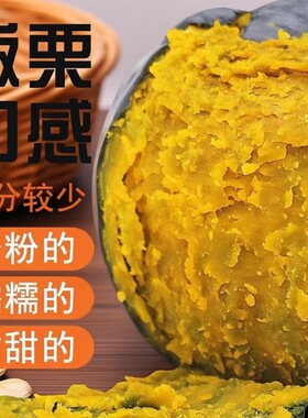 惠和一号贝贝南瓜正宗山东新