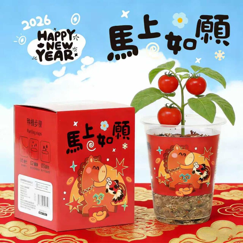 惊喜新年礼物植物盲盒学生奖励小礼物桌面儿童种植观察盆栽盲盒