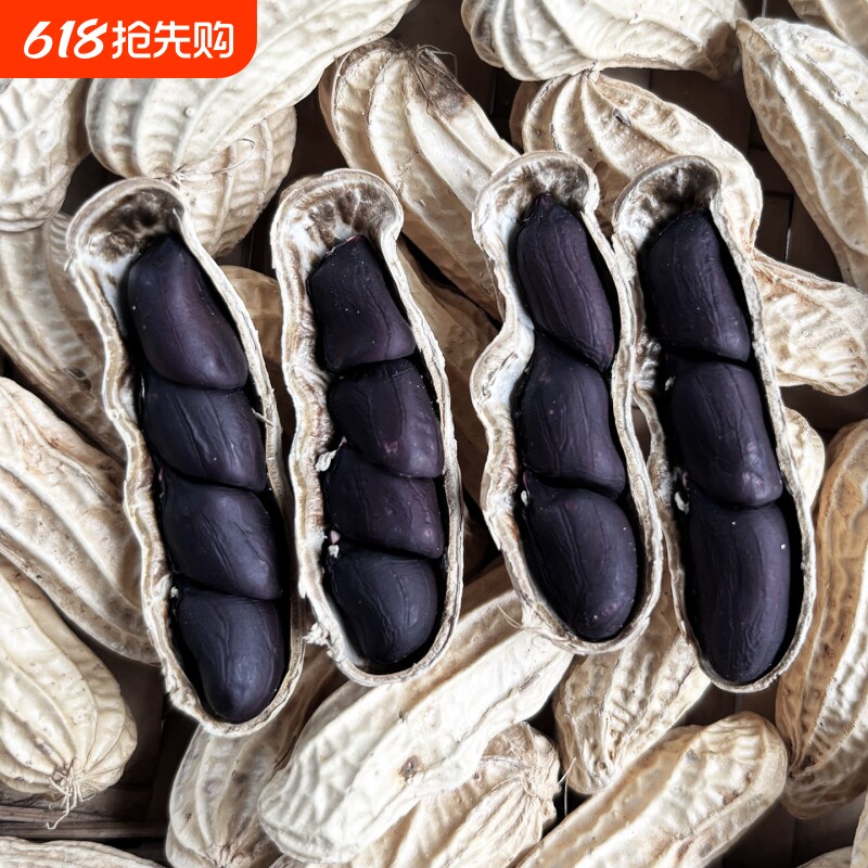 云南普洱富硒黑花生黑皮花生2025年新货晒干带壳花生米原味年货