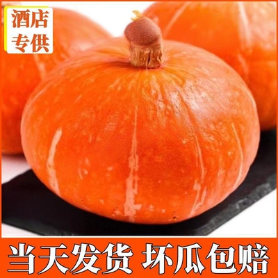 金贝贝南瓜金墩墩南瓜