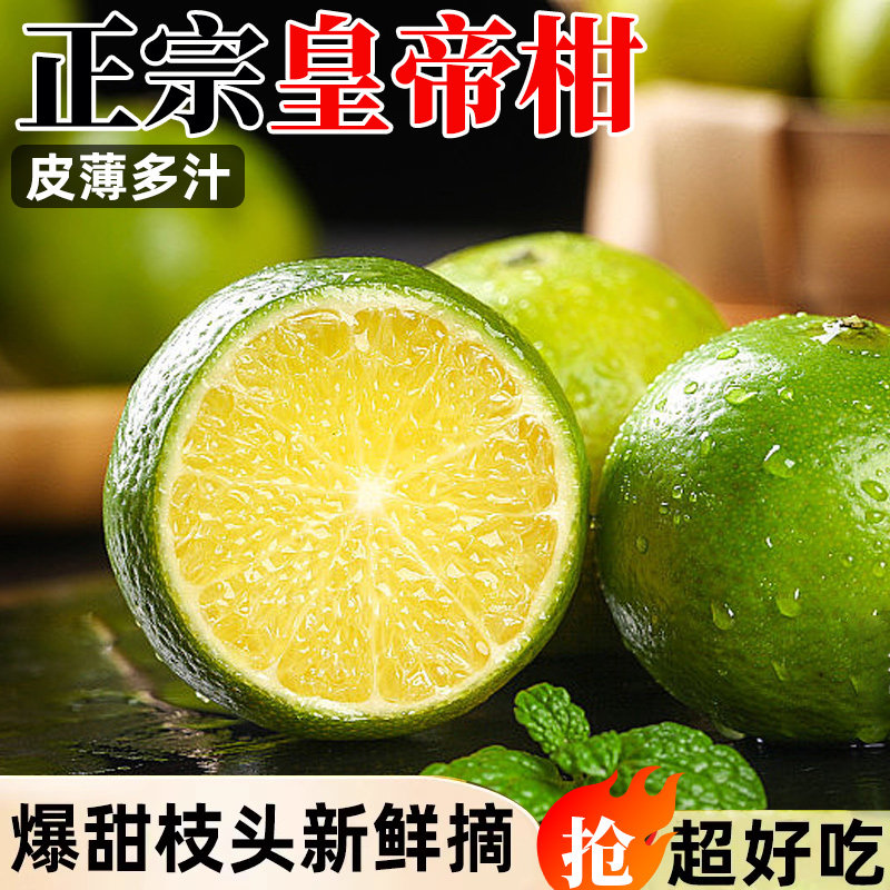 2025正宗皇帝柑新鲜当季水果现摘蜜桔子贡柑甜橘老树大果包邮